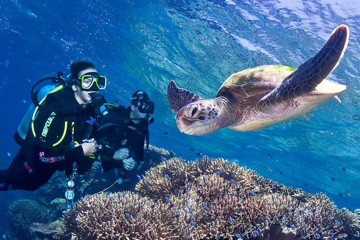 diving spot.